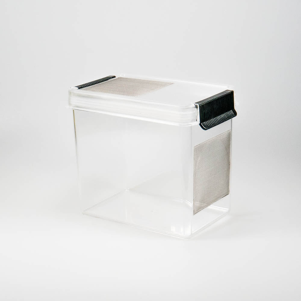 Mantis-Quader B-Ware