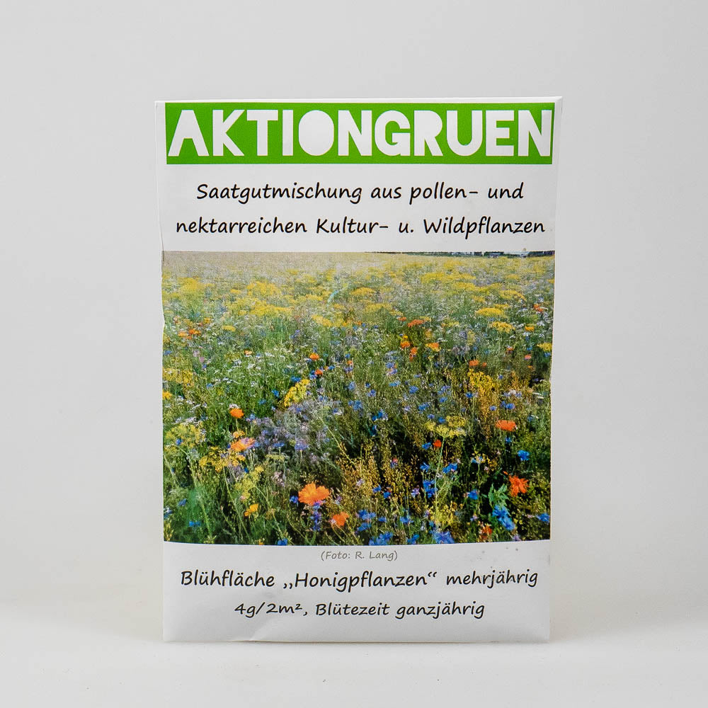 QualitätsSaatgut für Blumenwiese M&m Wüst Mantiden und mehr